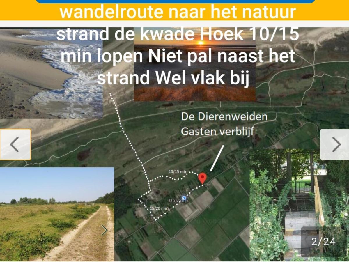 De Dierenweiden Goedereede Exterior photo